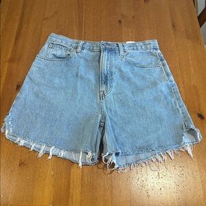 Everlane Light Blue Jean Shorts